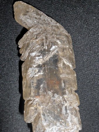 Gips Freihung,OberpfalzRSCN8816.JPG