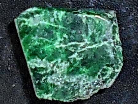 RSCN5562.jpg