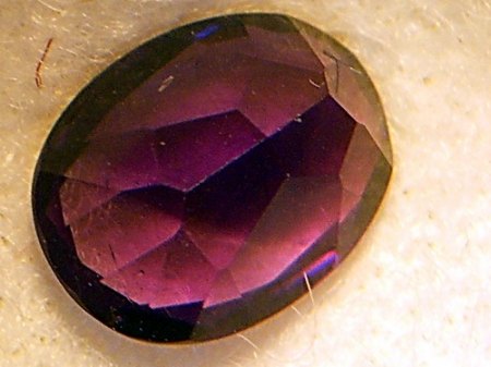 RSCN5526.jpg