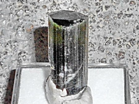 RSCN5519.jpg