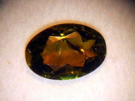 DSCN5502.jpg