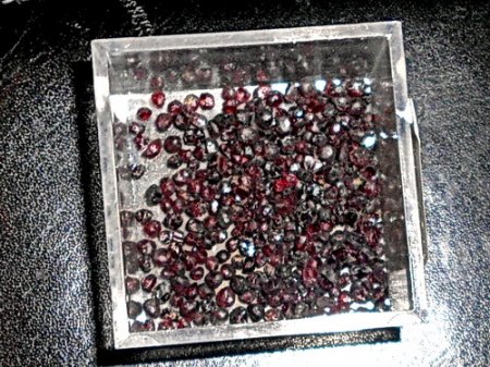 RSCN5494.jpg