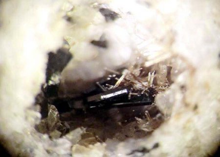 _Wöhlerit-Lavenit-Epitaxie_BB 5 mm_Mendig_Eifel_Peter_1b.jpg