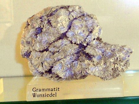 RSCN9778.jpg