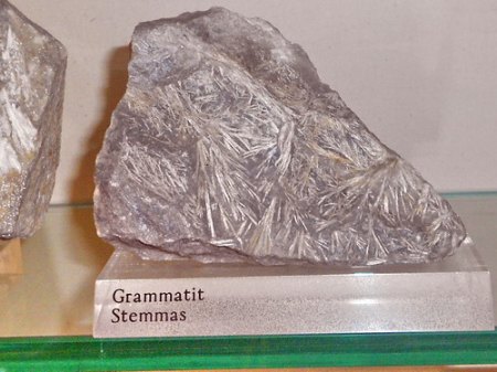RSCN9776.jpg
