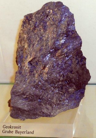 RSCN9802.jpg