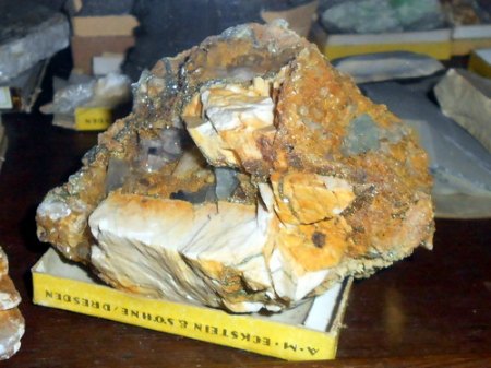 RSCN9811.jpg