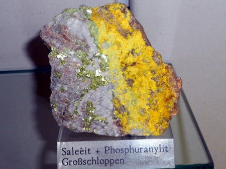 RSCN9814.jpg