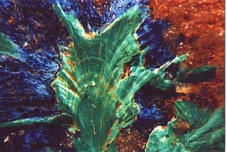 Malachit_Eigenfund_Neubulach b. Calw, Schwarzwald_Peter.jpg