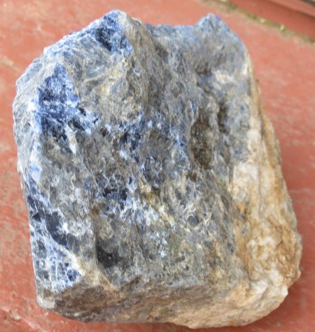stein2.jpg
