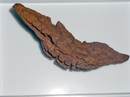 RSCN1463.jpg