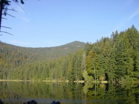 DSC00095.JPG