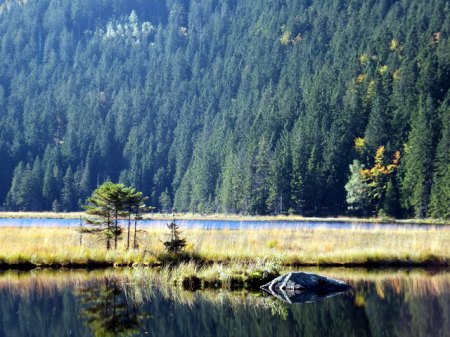 Arbersee 1DSCF2116.JPG