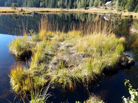Arbersee 3.JPG