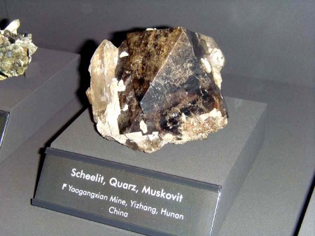 _terra mineralia_Scheelit Quarz Muskovit_Yizhang_Hunan_China_Peter_16.10.10.JPG
