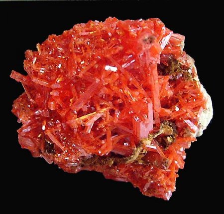 Krokoit-Stüfchen_Dundas_Tasmanien_Australien_Peter_1a.jpg