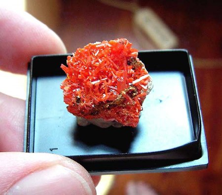 Krokoit-Stüfchen_Dundas_Tasmanien_Australien_Peter_1b.jpg