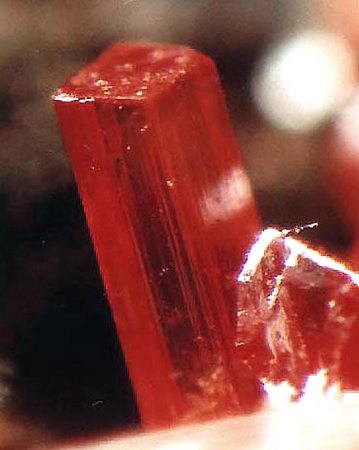 Krokoit_Dundas_Tasmanien_MM_Peter.JPG