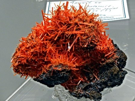 Krokoit TasmanienRSCN2624.JPG