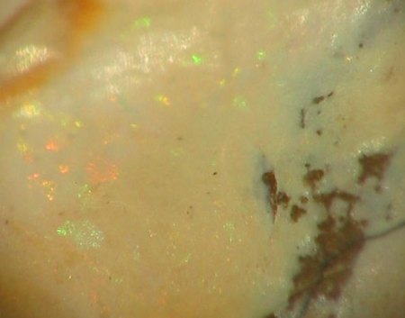Edelopal (Niederofleiden).jpg