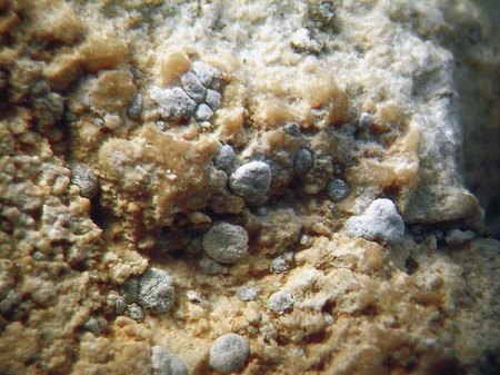 _Stishovit auf Magadiit-Kenyait-Coesit-Matrix_Meteor-Krater_Bisbee_Arizona_1c_Peter.jpg