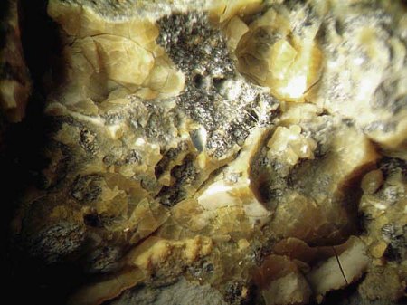 _Hyalit Opal 4_Stbr. Nickel_Ober Widdersheim_Vogelsberg_Eigenfund_5.7.09_Peter.JPG