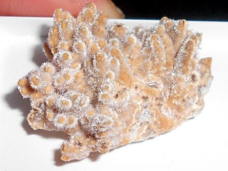 Natrolith  Hammer-Unterwiesenthal.JPG