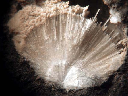 Zeolith_Natrolith_1_Gaulsberg_Ortenberg_Peter_24.9.97.jpg