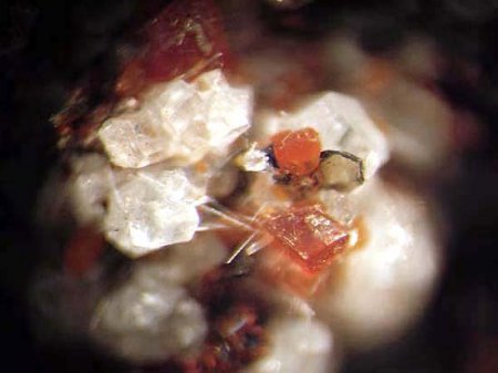 Feldspat_Nephelin_Melilith_u.a._Liley_Üdersdorf_Eifel_3_Peter.JPG