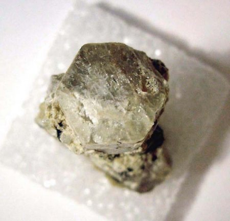 _Saamit X_KS-Größe_Mt. Lepche_Lovozero Massiv_Kola-Halbinsel_Russland_Peter_1b.jpg
