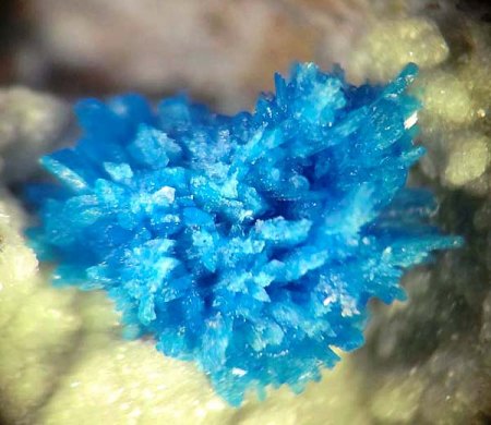 _Pentagonit xx in Zeolith-reichem Basalt_MM-Ausschnitt_Wagholi_Poona_Maharashtra_Indien _Peter_2a.jpg