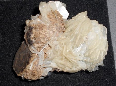 RSCN2071.jpg