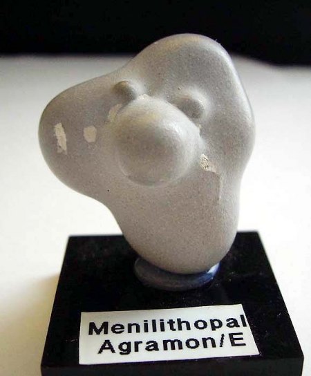 _Menilithopal-Männchen_Agramon_Hellin_Albacete_Castilla-La-Mancha_Spanien_Peter_1a.jpg