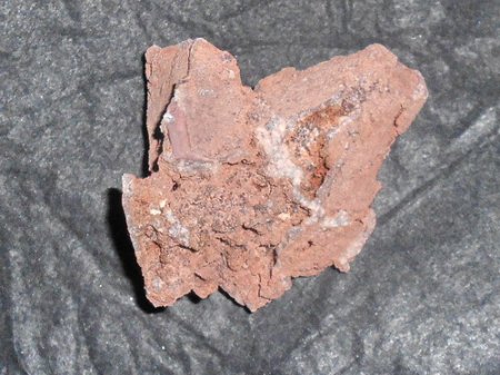 RSCN3462.jpg