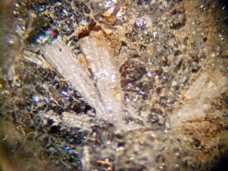 Aragonit-Hyalit-Teilpseudomorphose Zinster KuppeDSCN1308.JPG