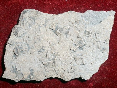 Sand-Halit-Pseudomorphose (1) Neustadt,KulmRSCN9602.JPG