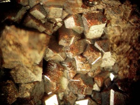 _30_Granat-Gruppe Andradit-Grossular xx im Hornfels_MM_BB 4 mm_Eigenfund 0912_Schriesheim_Hohe Waid_Odw._BaWü_Peter_1.JPG