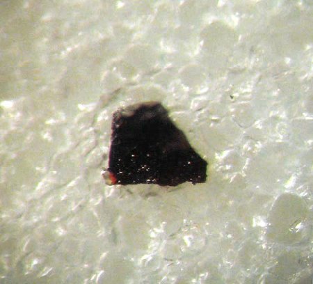 Granat_Majorit auf Chantonnay Meteorit_Frankreich_Peter.jpg