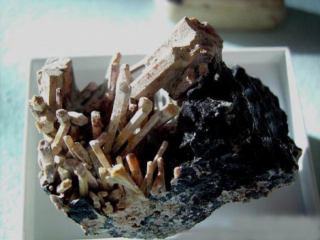 Granat_Schorlomit_Nephelin_Peter.jpg
