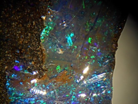 Edelopal Queensland,AustralienDSCN3860.JPG
