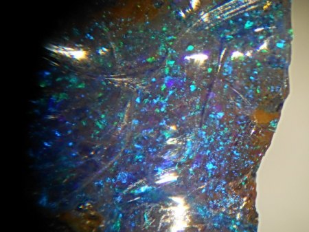 Edelopal Queensland,AustralienRSCN3863.jpg