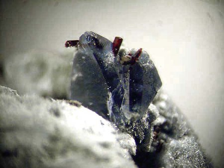 Benitoit_Neptunit_San Benito Gem Mine_Kalifornien_USA_Peter_3.jpg
