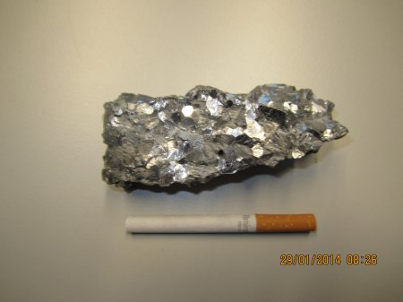 IMG_1231.JPG