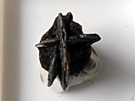 Filatovit Tolbachik,KamtschatkaRSCN4033.JPG