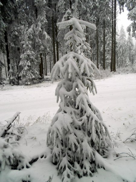 DSCN4012.jpg