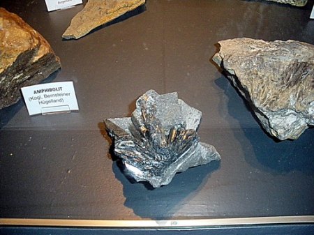 IMGP3925.jpg