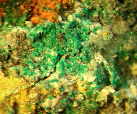 _Paratacamit xx_Claringbullit_Diaboleit_Boleit_MM_Chloridstollen _Sounion Gebiet_Lavrion_Attika_Griechenland_Peter_2.JPG