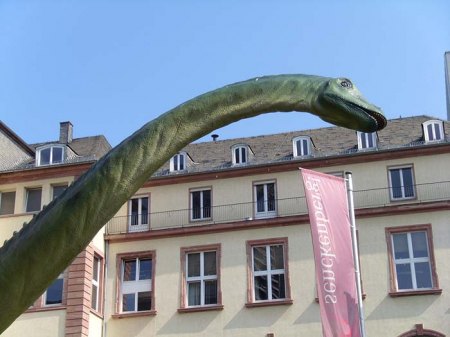 Senckenberg_Brontosaurus von links_Peter_29.6.09.JPG