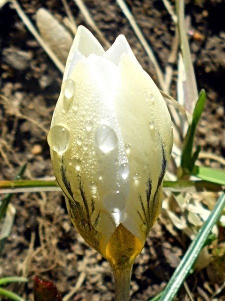 RSCN4420.jpg