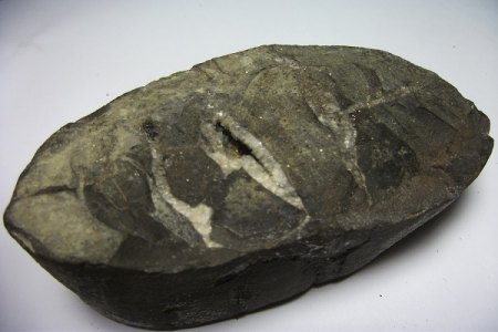 DSCF2140.JPG
